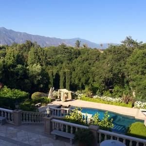 Meet your Posher, Henry